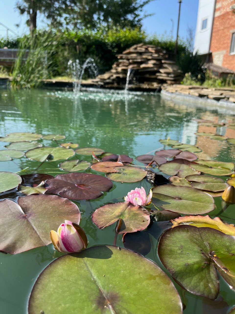 Гостиница Придорожная Ейск-16