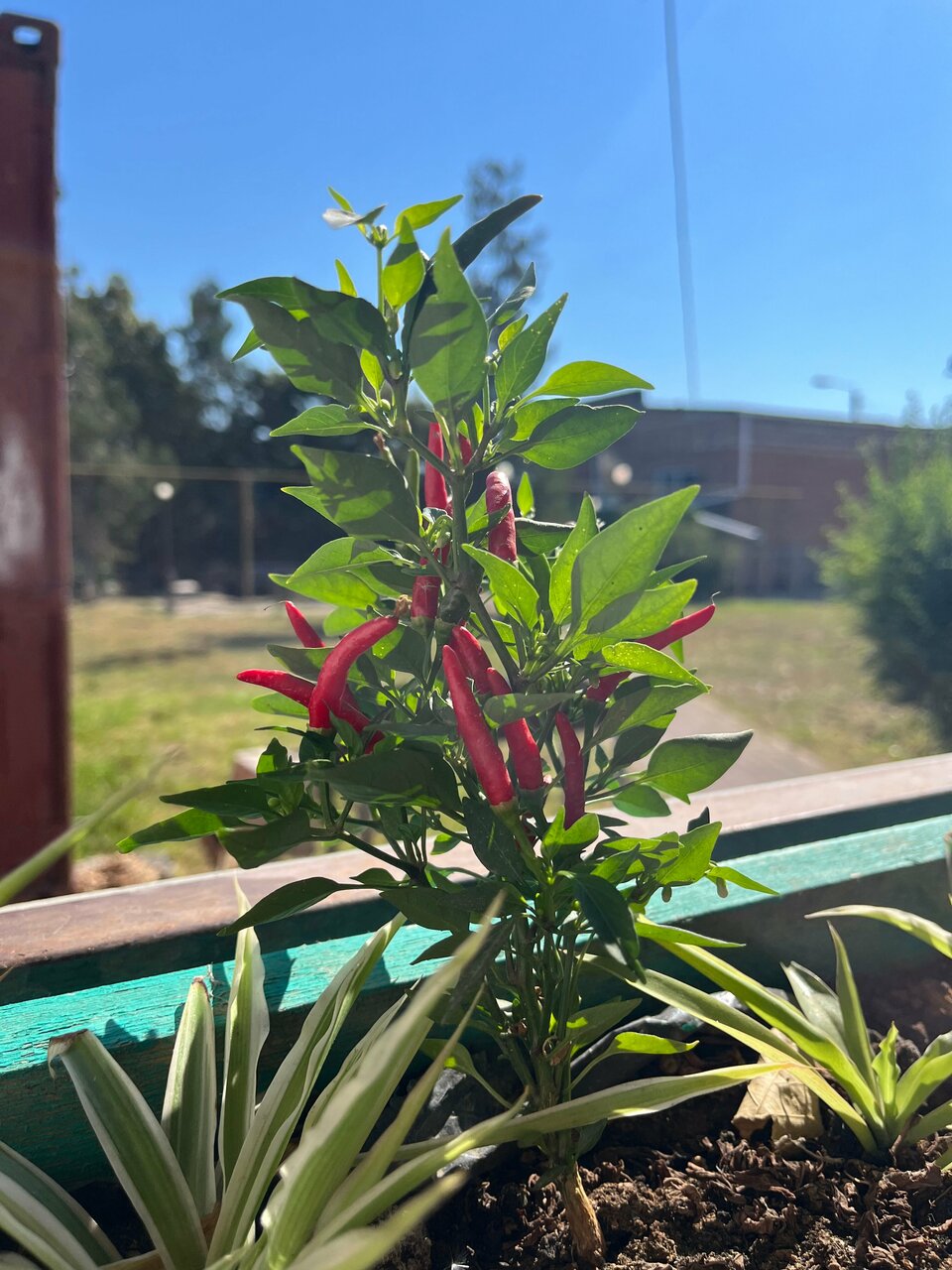 Гостиница Придорожная Ейск-20