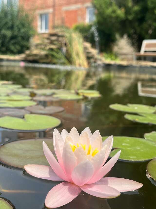 Гостиница Придорожная Ейск-43